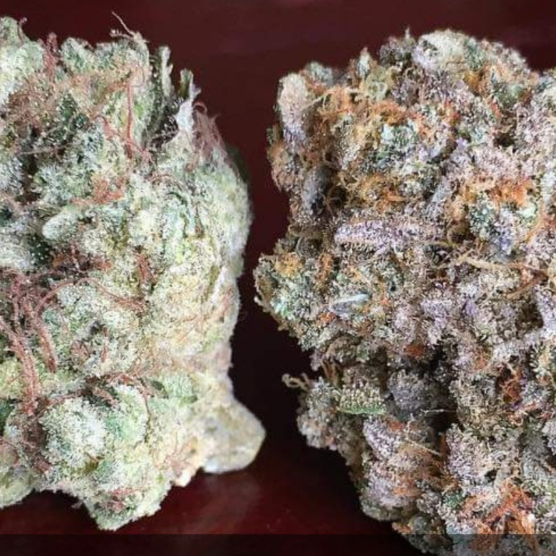 Journey through the Strains: Sativa, Hybrid, Indica Effects Explored